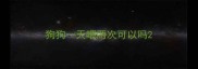 狗狗一天喂两次可以吗