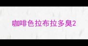咖啡色拉布拉多臭