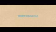 贵阳帮忙养拉布拉多犬