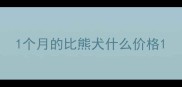 1个月的比熊犬什么价格