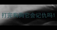 打完狗狗它会记仇吗