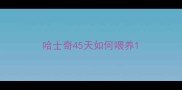 哈士奇45天如何喂养