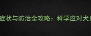 拉布拉多感冒症状与防治全攻略科学应对犬只呼吸道感染