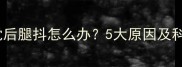 拉布拉多睡觉后腿抖怎么办5大原因及科学解决方法
