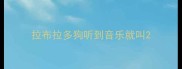 拉布拉多狗听到音乐就叫