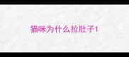 猫咪为什么拉肚子