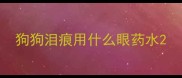 狗狗泪痕用什么眼药水