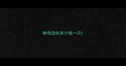 种母边牧多少钱一只