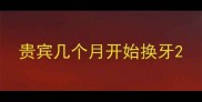 贵宾几个月开始换牙