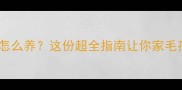 拉布拉多夏天怎么养这份超全指南让你家毛孩清爽度夏