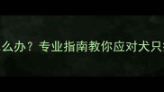 狗狗接种疫苗后感染怎么办专业指南教你应对犬只疫苗后感染及预防措施