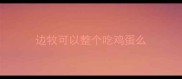 边牧可以整个吃鸡蛋么
