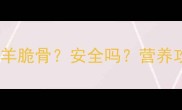 金毛犬能不能吃羊脆骨安全吗营养攻略与风险提示