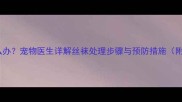 狗狗误食丝袜怎么办宠物医生详解丝袜处理步骤与预防措施附紧急处理指南