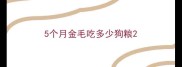 5个月金毛吃多少狗粮