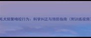 金毛犬频繁啃咬行为科学纠正与预防指南附训练视频