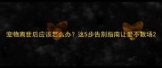 宠物离世后应该怎么办这5步告别指南让爱不散场