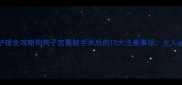 术后护理全攻略狗狗子宫蓄脓手术后的10大注意事项主人必看