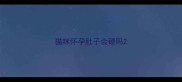 猫咪怀孕肚子会硬吗