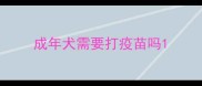 成年犬需要打疫苗吗