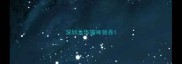 深圳龙华猫咪领养
