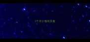 3个月小猫有多重