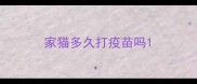 家猫多久打疫苗吗