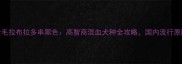 金毛拉布拉多串黑色高智商混血犬种全攻略国内流行原因