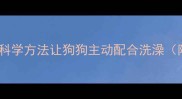 哈士奇不爱洗澡怎么办5大科学方法让狗狗主动配合洗澡附视频教程宠物护理指南