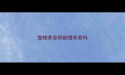 宠物美容师助理辛苦吗