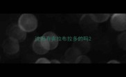 沈阳有卖拉布拉多的吗