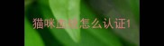 猫咪血统怎么认证