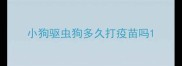 小狗驱虫狗多久打疫苗吗