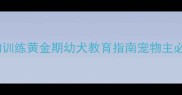 狗狗训练黄金期幼犬教育指南宠物主必看