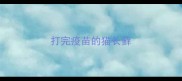 打完疫苗的猫长藓