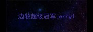 边牧超级冠军jerry