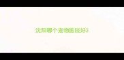 沈阳哪个宠物医院好