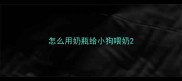 怎么用奶瓶给小狗喂奶