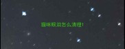 猫咪眼泪怎么清理
