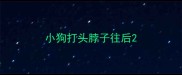 小狗打头脖子往后