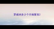 罗威纳多少个月做繁育