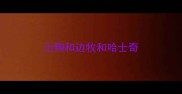 土狗和边牧和哈士奇