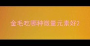 金毛吃哪种微量元素好