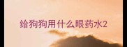 给狗狗用什么眼药水