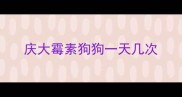庆大霉素狗狗一天几次