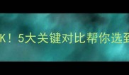 拉布拉多公母大PK5大关键对比帮你选到最适合的毛孩子