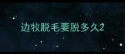 边牧脱毛要脱多久