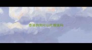 泰迪狗狗可以吃榴莲吗