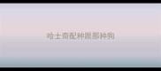 哈士奇配种跟那种狗
