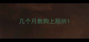 几个月教狗上厕所